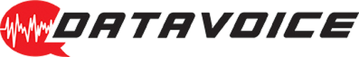 Datavoice